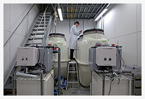 （写真）浄化槽技術システム開発のための恒温試験室
