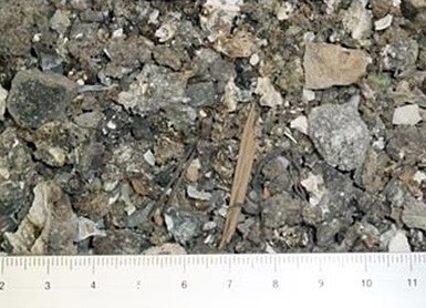 Fig.1 MSW incineration bottom ash (IBA)