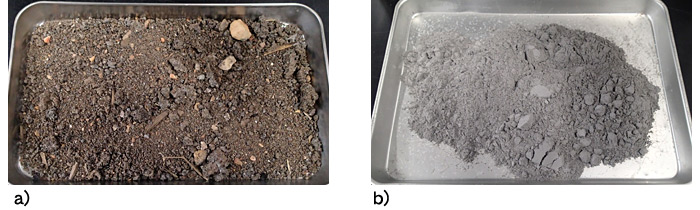 Fig. 2. Ashes from temporary incineration plants: (a) bottom ash and (b) fly ash