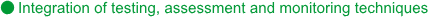 Integration of testing, assessment and monitoring techniques