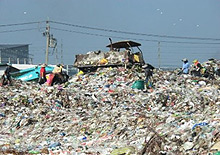 図1. サイノイ廃棄物埋立地の様子