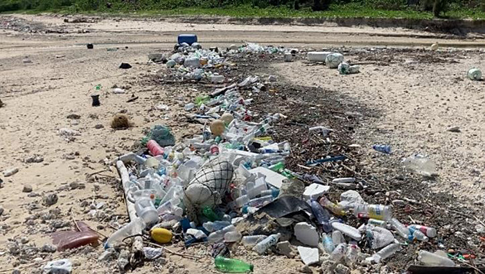 図１　海岸に漂着したプラスチックごみ（石垣島）