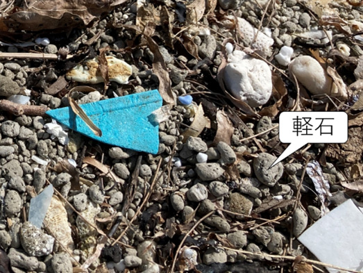 図３　海岸に漂着したマイクロプラスチック