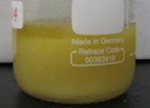 図2 様々な飲食店から回収したトラップグリースを加温して得られた油脂分、つまり、バイオ重油（室温になると一部が固体となる）