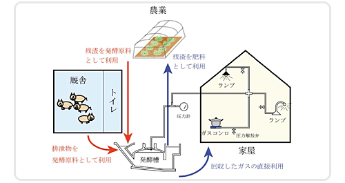 図1　中国農村地域の家庭用バイオガスシステムの仕組み