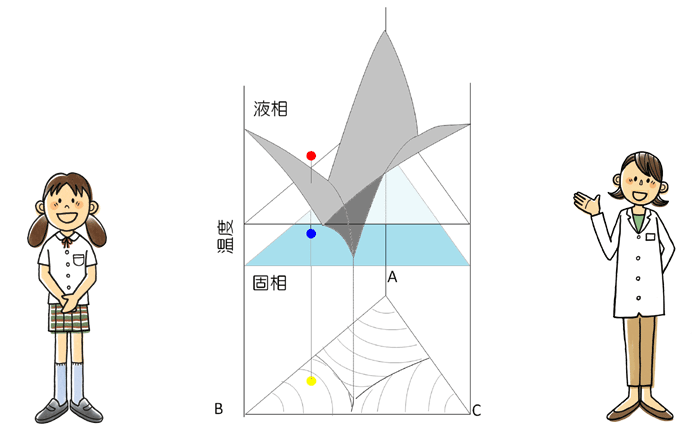 図1 三成分系の相図の模式図